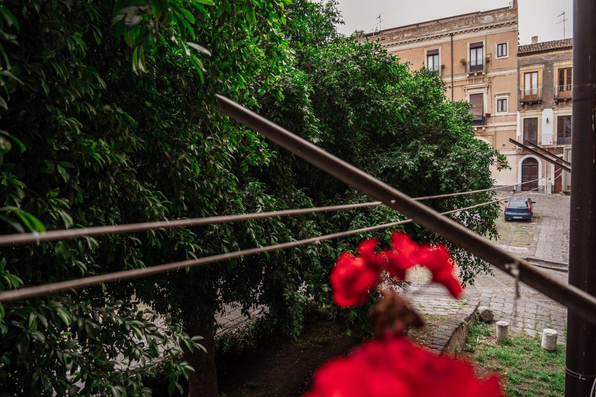 Bed And Books Bed & Breakfast Catania Ngoại thất bức ảnh