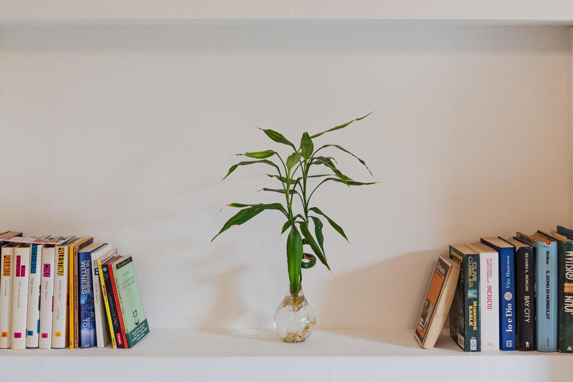 Bed And Books Bed & Breakfast Catania Ngoại thất bức ảnh